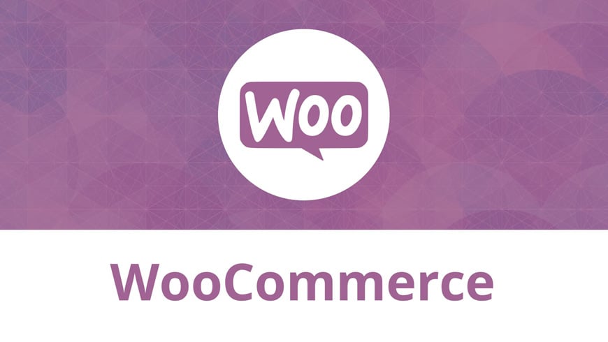 Killer Tips to Build Your Online Store in WooCommerce