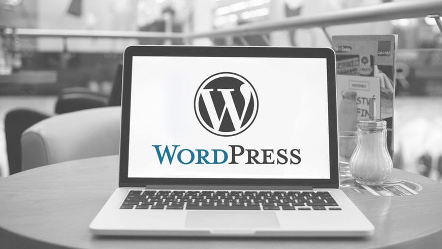 Why is WordPress development the best for your business?