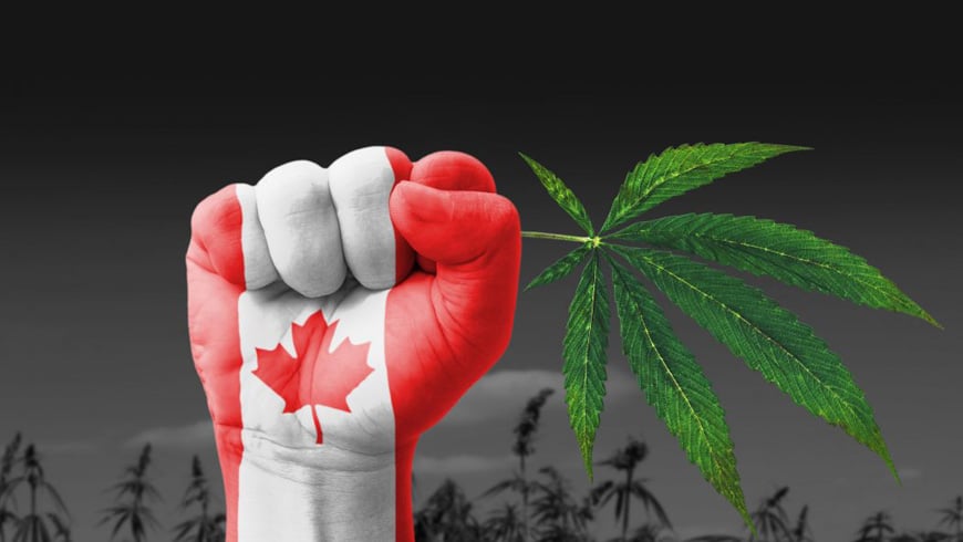 Marijuana is Legal Now – A day bright and dark at the same time for Canada!