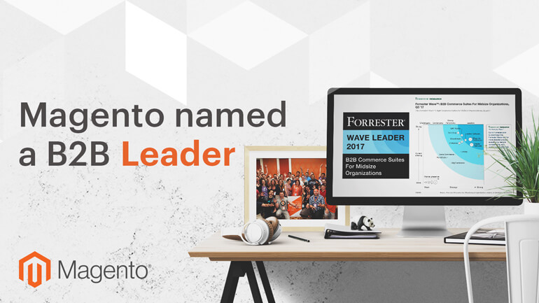 Magento eCommerce Leader