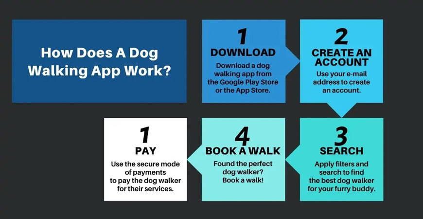 Dog Walking App Work