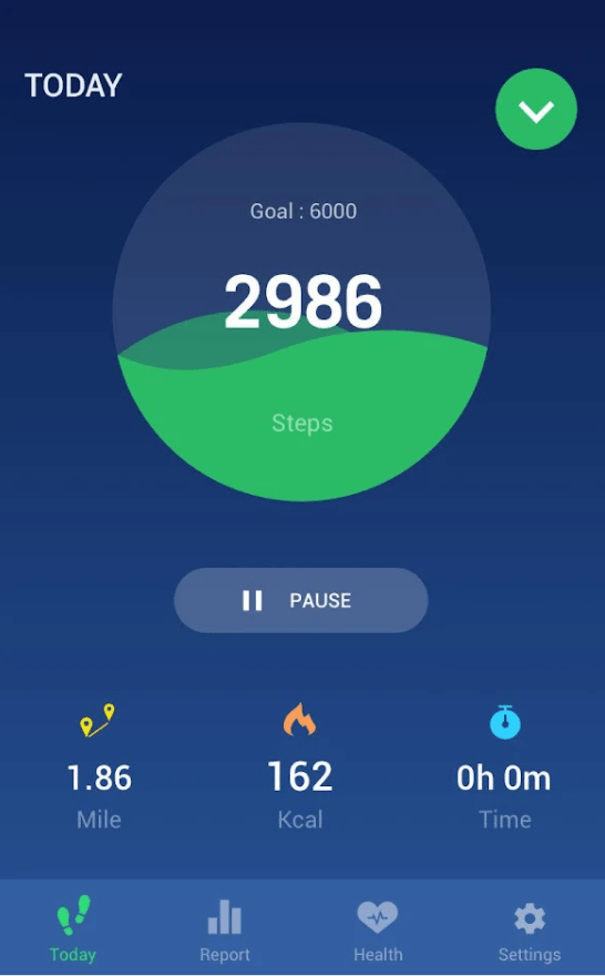 Pedometer and Step Counter