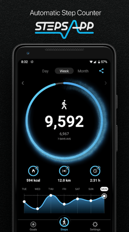 StepsApp Pedometer