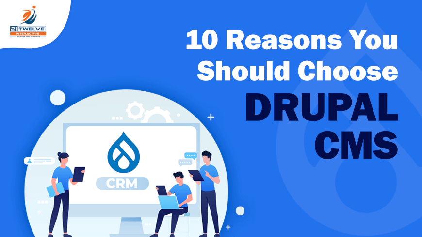 10 Good Reasons to go with the Drupal Web Development Company